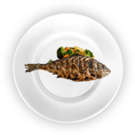 Small Special Fish (1piece)  Single 